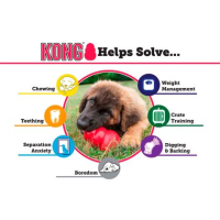 Kong Hundelegetøj Original Rød - Flere Størrelser