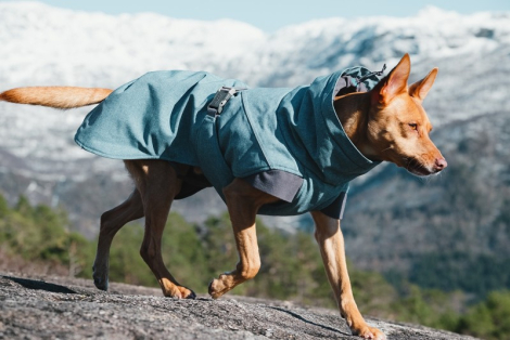 Hurtta Expedition Parka Hundejakke - Flere Størrelser - Rød hund
