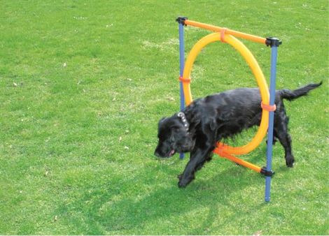 Pawise Agility Forhindring - Med Ring - Ø55cm