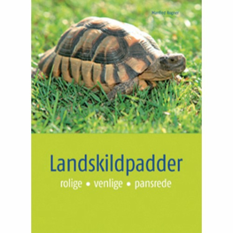 Landskildpadde Bogen - Rolige - Venlige - Pansrede