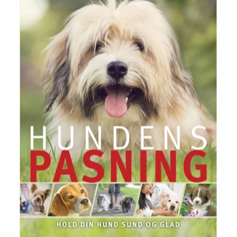 Bogen Hundens pasning - Hold din hund sund og glad af Paula Regan