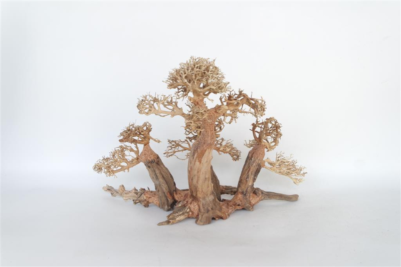 Billede af Naturligt Bonsai Træ 40x25x20cm