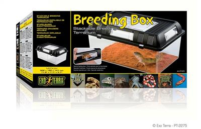Exo Terra Breeding Box -30,2x19,6x14,7cm -  Medium