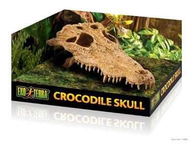 Billede af Exo Terra Dekorations Skjul Krokodille Kranie - 23x12x7,5cm - Large