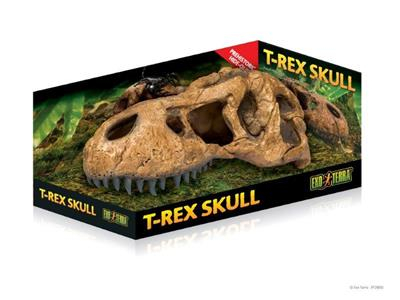 Exo Terra Dekorations Skjul T-Rex Kranie - 24x10x10cm - Large