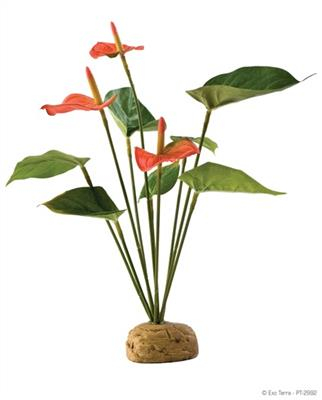 Exo Terra Anthurium Bush Kunstig Plante - 29cm