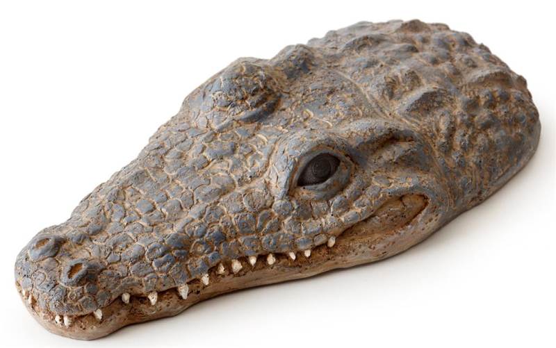 Billede af Exo Terra Dekorations Flydende Krokodille - 21x11cm