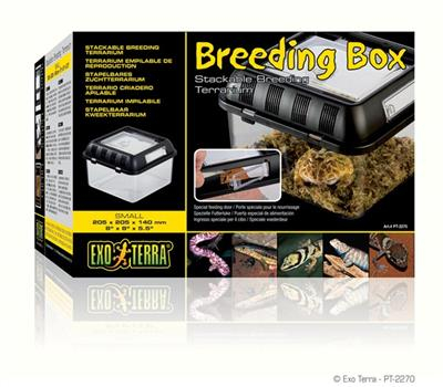 Se Exo Terra Breeding Box -20,5x20,5x14cm - Small hos Dyreverdenen.dk