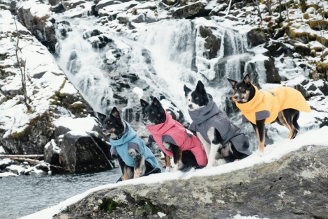 Hurtta Expedition Parka Hundejakke - Flere Størrelser - Bilberry - Flere farver
