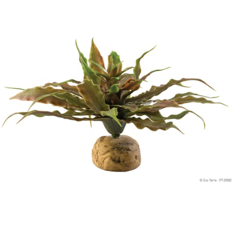 Exo Terra Star Cactus Kunstig Plante - 23x11cm