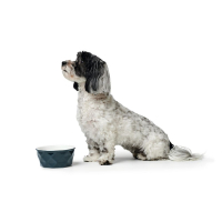 Hunter Eiby Keramik Hundeskål - Flere Størrelser - Marineblå - Med hund
