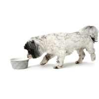 Hunter Eiby Keramik Hundeskål - Flere Størrelser - Grå - Til hunde