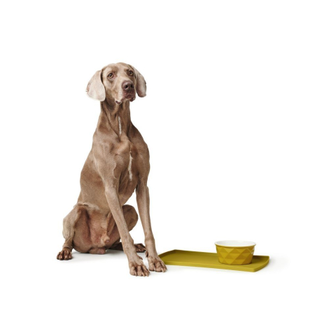 Hunter Eiby Keramik Hundeskål - Flere Størrelser - Gul - Til hunde