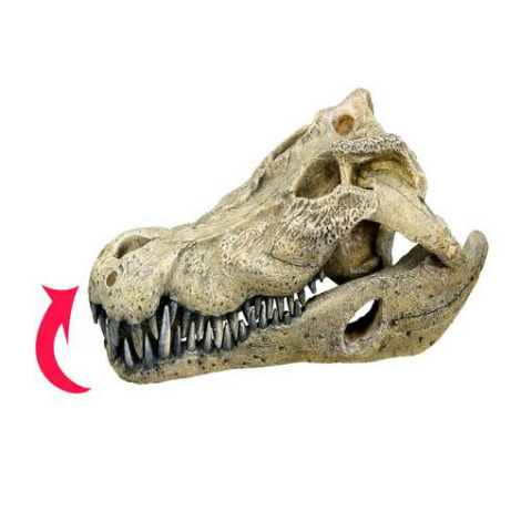 Nobby Akvarie Dekorations Krokodillekranium - 26x14x9cm
