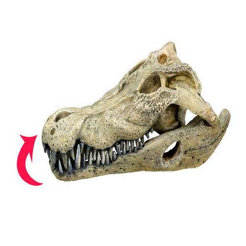 Billede af Nobby Akvarie Dekorations Krokodillekranium - 26x14x9cm