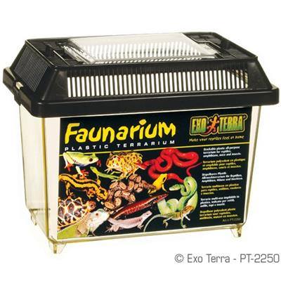 Exo Terra Faunarium - 18x11,6x14,5cm - Mini