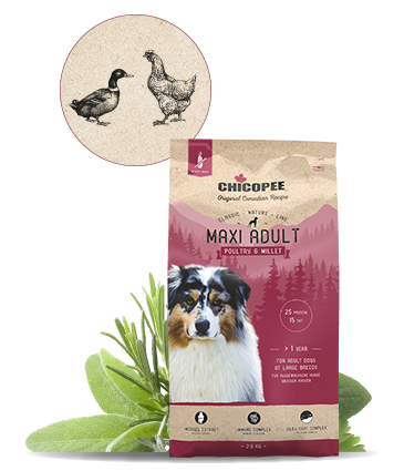 Chicopee Classic Nature Line Maxi Hundefoder - Med Kylling & Hirse - 15kg - Hvedefri