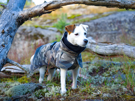 PAIKKA Recovery Hunde Vinterjakke - Camo - med hund