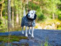 PAIKKA Recovery Hunde Vinterjakke - Camo - i naturen