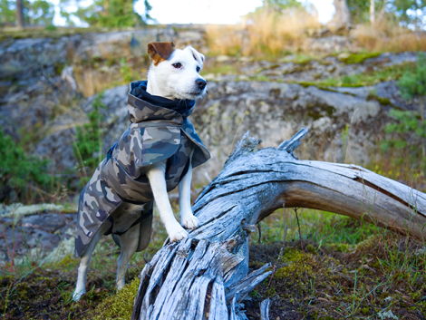 PAIKKA Recovery Hunde Vinterjakke - Camo - op af et træ