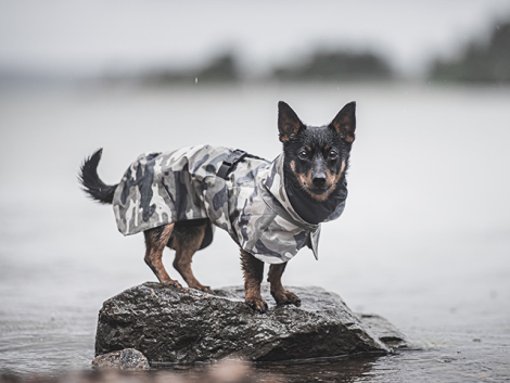 PAIKKA Recovery Hunde Vinterjakke - Camo - med vand
