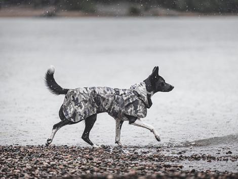 PAIKKA Recovery Hunde Vinterjakke - Camo - på stranden