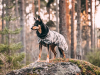 PAIKKA Recovery Hunde Vinterjakke - Camo - på bjerg