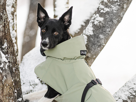 PAIKKA Recovery Hunde Vinterjakke - Grøn - nærbillede