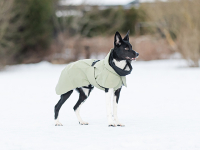 PAIKKA Recovery Hunde Vinterjakke - Grøn - med hund