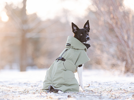 PAIKKA Recovery Hunde Vinterjakke - Grøn - hund der kigger bagud