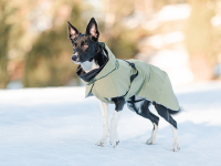 PAIKKA Recovery Hunde Vinterjakke - Grøn - sådan sidder den