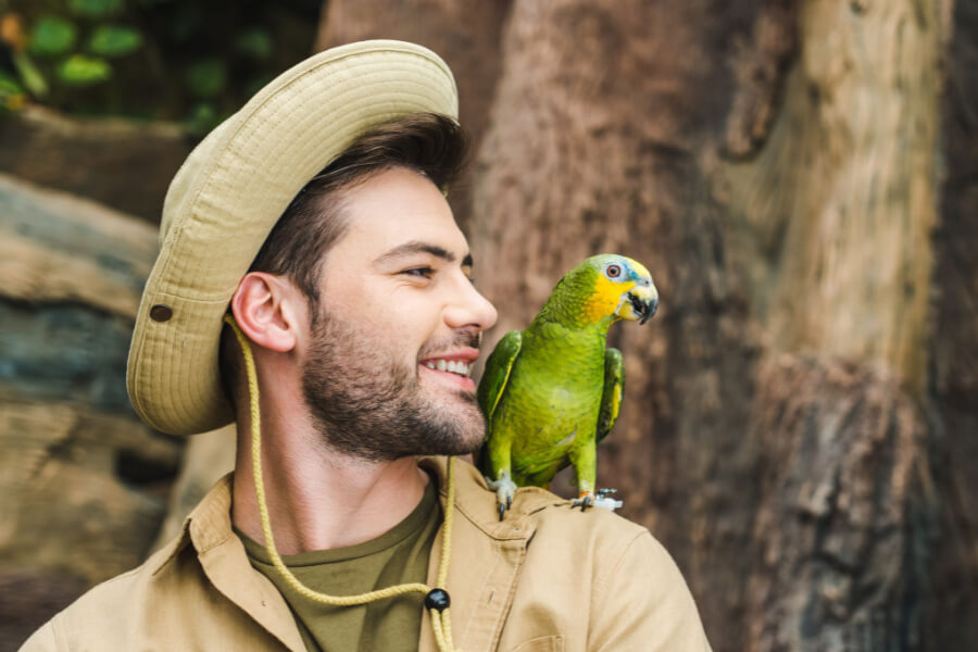Papegøje – En fascinerende dyreart - Bliv klogere på alt omkring papegøjen.