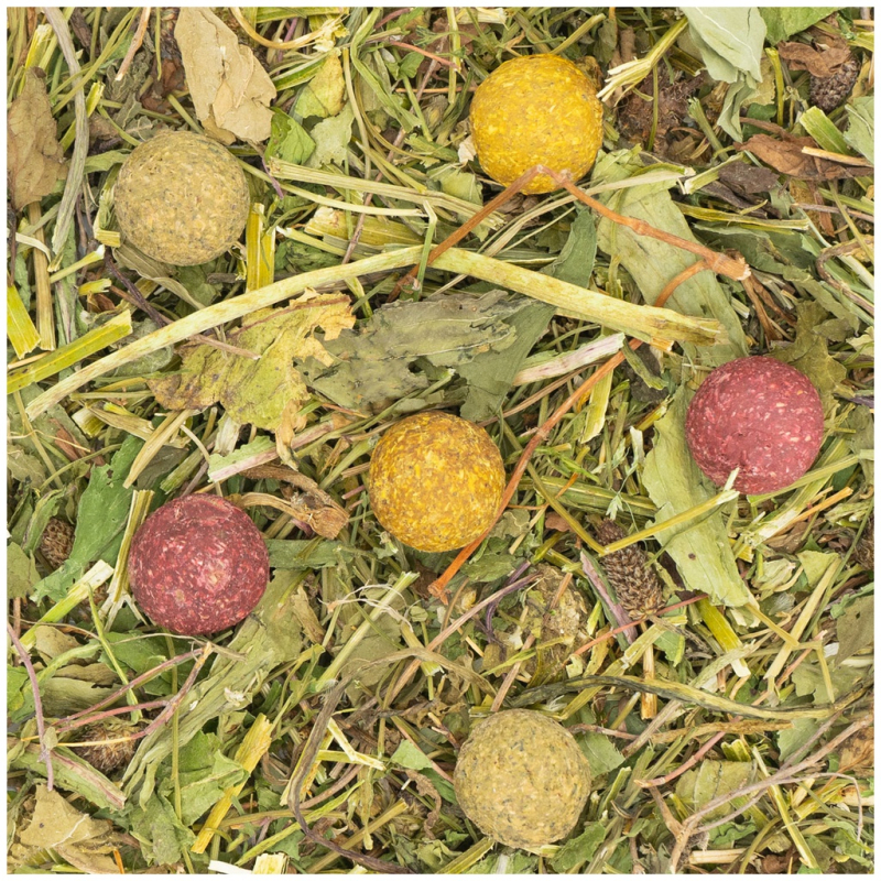 Billede af JR Farm Gnaver Grainless Crunchy Herbs Balls 150g