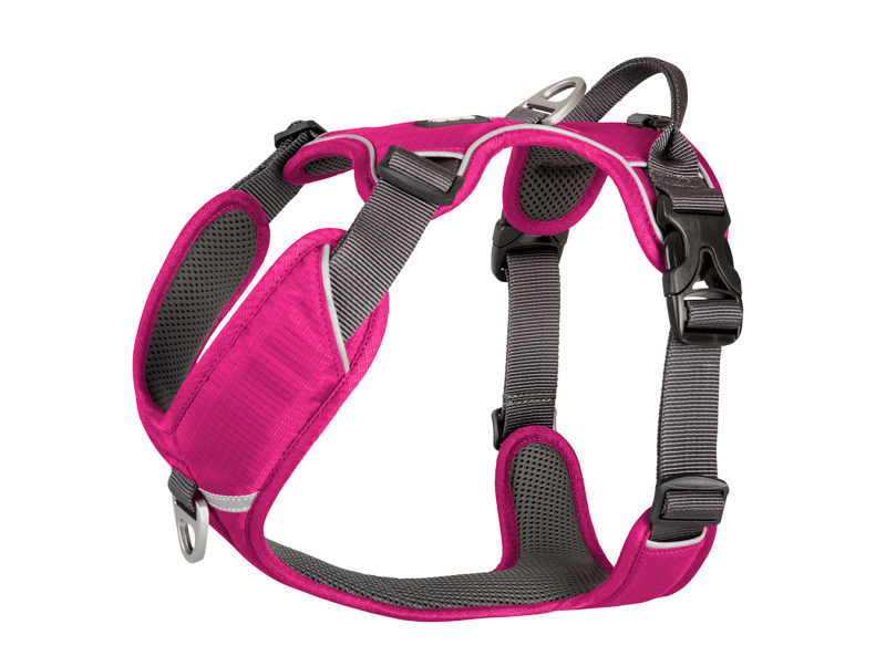 Dog Copenhagen Comfort Walk Pro Wild Rose - M