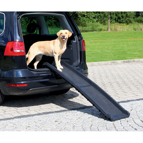 Transport Til Hund | Til Hunde ☛ Dyreverdenen