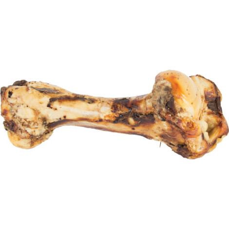 Jurassic Hunde Snack Kødben af Stegt Okseben - 30-40cm - Naturligt