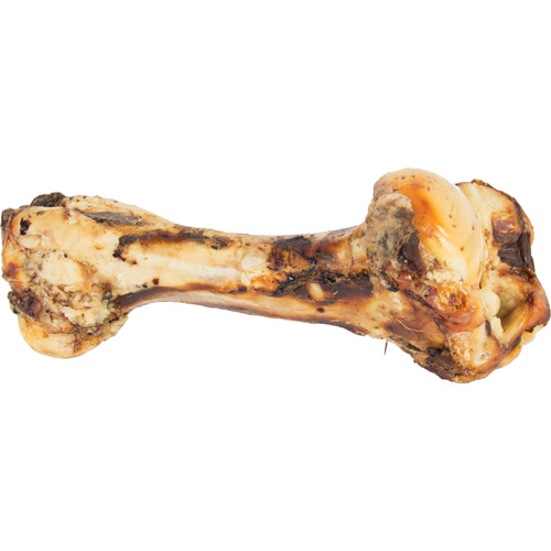 Billede af Jurassic Hunde Snack Kødben af Stegt Okseben - 30-40cm - Naturligt