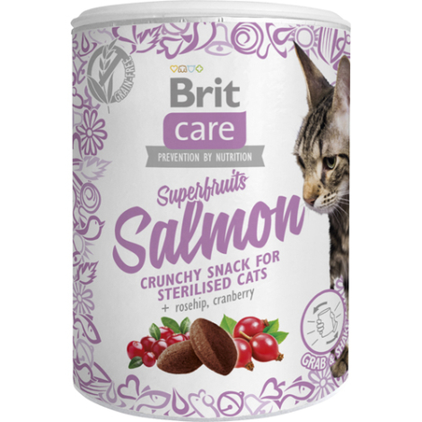 Brit Care Katte Snack med Laks og Super Frugt - 100g - Kornfrie