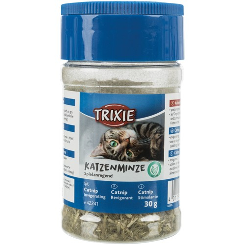 hvad-er-catnip-og-hvordan-virker-catnip-fit-2000x2000x100.webp